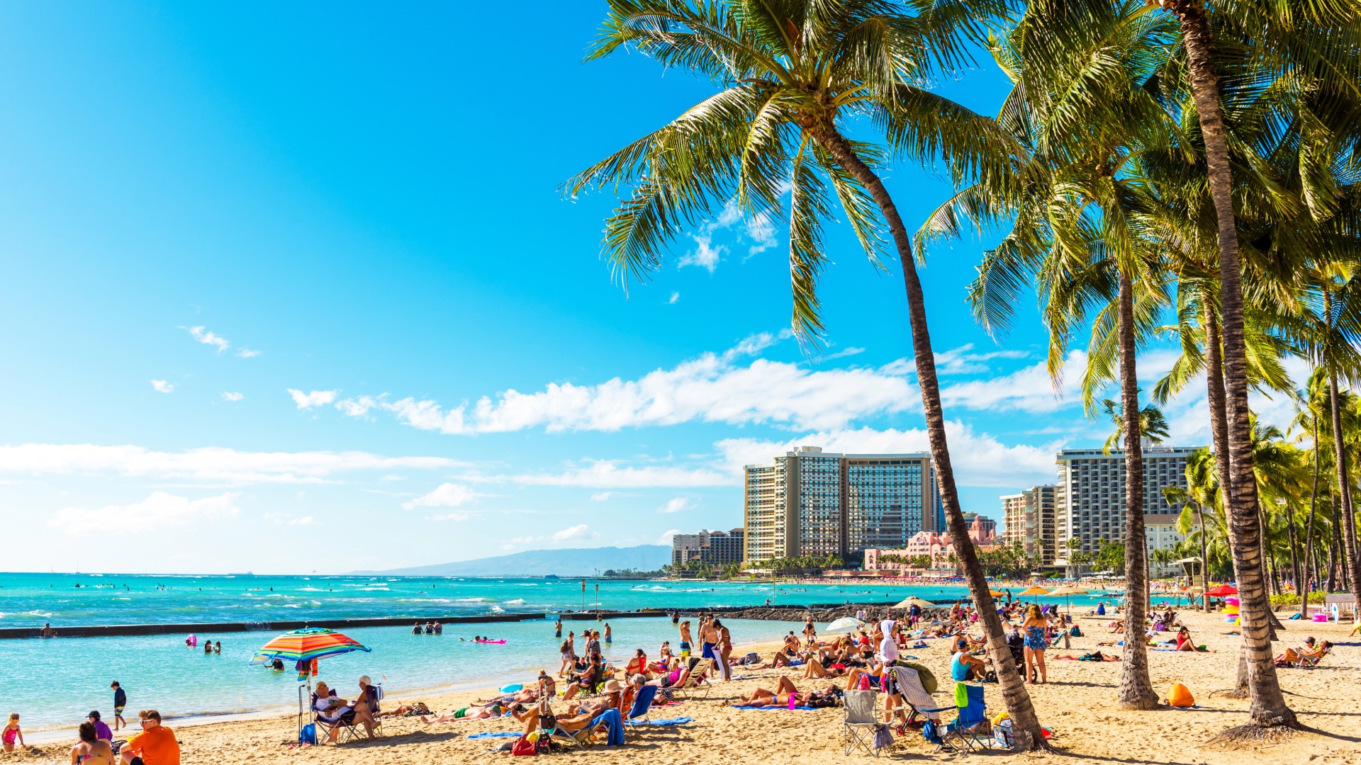 Hawaii Section 8 Housing Application Guide State Guide